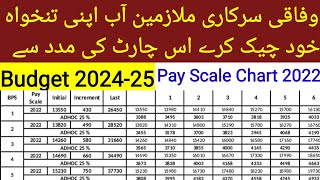 New Latest Pay Scale Chart For Federal Govt Employees Scale 01 to 22 Budget 202425 [upl. by Ruffi]