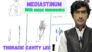 Mediastinum anatomy with mnemonics by Medexplora zawar yousafzai [upl. by Platus]