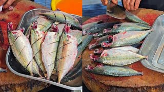 indian mackerel fish അയല മീൻ bangada fish cutting skills sagar fish hoodi Bangalore amp belathur [upl. by Annissa88]