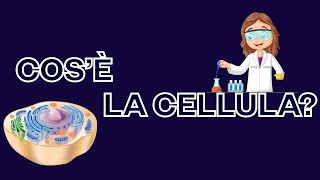 Cos’è la cellula Organismi unicellulari e pluricellulari  la cellula più grande [upl. by Aikyn]