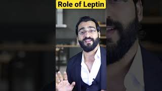 What is the role of leptin [upl. by Haik]