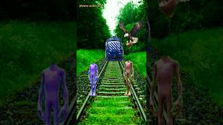 Dame tu cosita funny train attack cat drive and short dametucosita funny vfx viralshorts short [upl. by Acyssej]