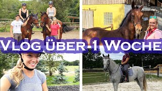 Lehrgang Fohlen Training  Weekly Vlog 18 [upl. by Peoples]