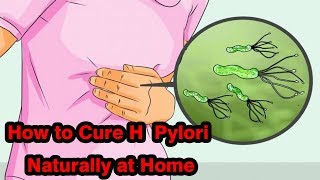 How to Cure H Pylori Naturally at Home [upl. by Wills]