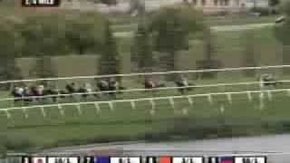 2008 Nearctic Stakes [upl. by Sauers37]