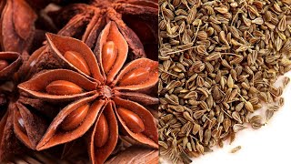 All about star anise and anise seeds  health benefits home remedies anise tea amp nutrition [upl. by Nnylirret404]