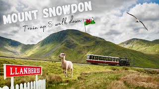 TRAIN RIDE UP AND WALKING BACK DOWN SNOWDON  THE HIGHEST MOUNTAIN IN WALES  JULY 2021 [upl. by Imac664]