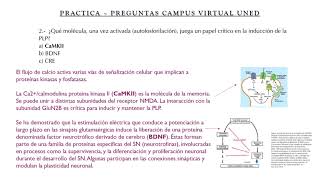 Psicología Fisiológica UNED  Preguntas tema 7 [upl. by Otti]