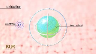 Antioxidant Mechanism of Action  Power of Vitamins CE [upl. by Dalston]