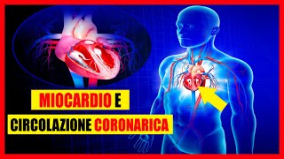 Miocardio e circolazione coronarica Cosè Comè fatto Come funziona [upl. by Auqinom175]