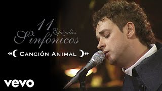 Gustavo Cerati  Canción Animal 11 Episodios Sinfónicos Official Video [upl. by Kcirdnek762]