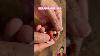 KERANG MUTIARA fishing animals [upl. by Udell]