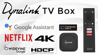 Dynalink TV Box DL ATV36 Android 10 Google Certified TV Box Review [upl. by Skantze]