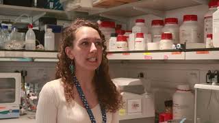 Dr Jenna Carpenter explains her research project exploring a gene therapy for Dravet Syndrome [upl. by Eerehs]