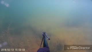 Spearfishing Pactola Reservoir [upl. by Freudberg732]