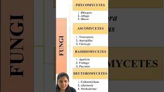 Trick to remember examples of Kingdom Fungi  Biological Classification  NCERT NEET neet biology [upl. by Syxela]