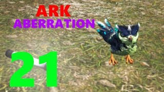 21 Baby Featherlight Ark Aberration [upl. by Anelliw]