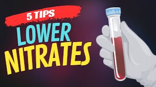 Try These 5 Proven Tips to Lower Nitrates in Your Aquarium [upl. by Orravan]