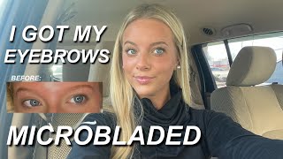 I GOT MY EYEBROWS MICROBLADED My beauty procedure experience healing process and 3 month update💉 [upl. by Aknahs]