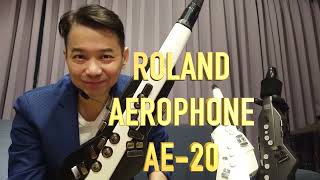 董舜文推薦 ROLAND AE 20 Aerophone，目前市場上CP值最高的電吹管 [upl. by Healion]