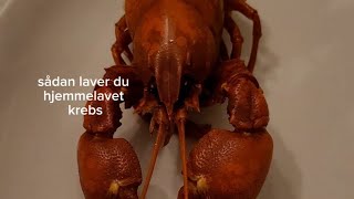 sådan laver du hjemmelavet signalkrebs 🦞🦞🦞🦞🦞🦞 [upl. by Nimajnab]