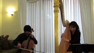 Cello and Harp DuoDanny Boy ダニーボーイ、チェロとハープ [upl. by Lucille]