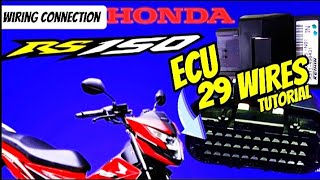 HONDA RS150 ECU 29 WIRES CONNECTION TUTORIAL  HONDA RS 150 ECU WIRING DIAGRAM [upl. by Inneg537]