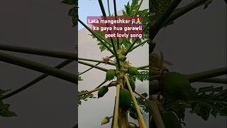 Jay devbhumi uttrakhand My kitchen gardengoodtimes diaryyoutubeshorts [upl. by Ysnat754]