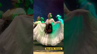 JAROCHOS BAILANDO danza baile labamba tradiciones mexican jarocho veracruz [upl. by Viridissa]