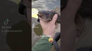 Kayak Sauger fishing illinoisriver catchingfish riverlife [upl. by Callahan]