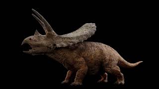 Torosaurus Sound Effects [upl. by Jemina]