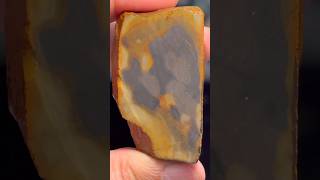 Cut Rock Unique Polychrome Jasper rocks shorts rockhounding crystals jasper vibes cool [upl. by Anyad]