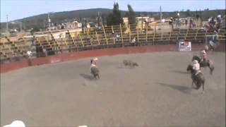 Jaripeo En Huapango 15 De Abril  Mediumm4v [upl. by Heilner424]