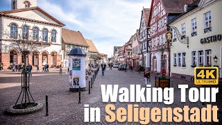 Walking tour in Seligenstadt [upl. by Yrennalf]