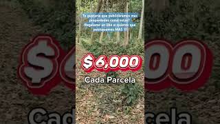 🔴 VENDIDAS GRAN OPORTUNIDAD propiedadesenventa terrenos lotes propiedades realestate [upl. by Verene]