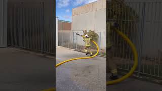 Fire Hose Stands shortvideo automobile fireman trending fire shorts shortsfeed [upl. by Pitzer]