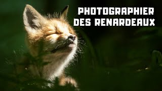 COMMENT PHOTOGRAPHIER DES RENARDEAUX [upl. by Ofloda]