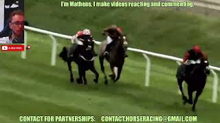 Lingfield FULL races Nov 12 2024  Horse Racing [upl. by Nnyla]