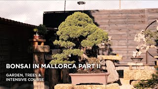 Bonsai in Mallorca II part one [upl. by Seppala]