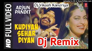 OHE OHE KE KUDIYA SER DIYA DJ REMIX SONG DJ VIKASH KANERIYA STYLE [upl. by Ardolino]