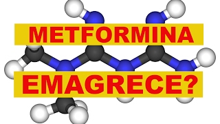 Metformina para o emagrecimento será que vale a pena [upl. by Zerline]