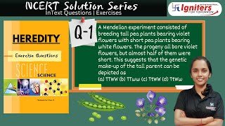 A Mendelian experiment consisted of breeding tall pea plants bearing violet flowers with short pe [upl. by Royd]