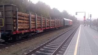 Güterzug nach hohenberg fährt kurz nach 700 aus traisen ab am 28102024 [upl. by Suinuj400]