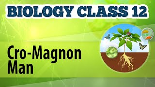 CroMagnon Man  Origin and Evolution of Life  Biology Class 12 [upl. by Coppinger]