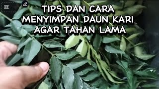 TIPS DAN CARA MENYIMPAN DAUN KARI AGAR TAHAN LAMA [upl. by Felicity]