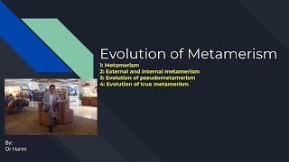 Evolution of Metamerism [upl. by Nlycaj463]