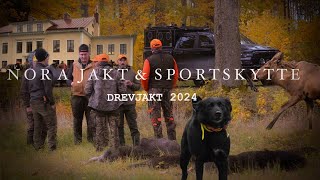 Drevjakt i oktober 2024 [upl. by Chirlin]