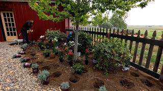 Planting Cottage Style Flower Beds In My Parent’s Garden 🌿🌼🍃  Garden Answer [upl. by Faro]