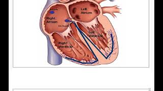 Toxicity of beat adrenergic blockers [upl. by Gabbie]