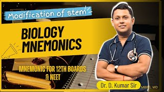 Biology Mnemonic by Dr D Kumar  Modification of stem [upl. by Dickie403]